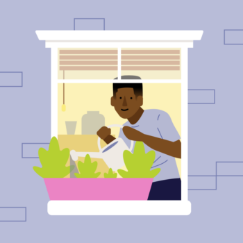 finspoLearn_illo_rectangle_saveByRefi@3x_colored