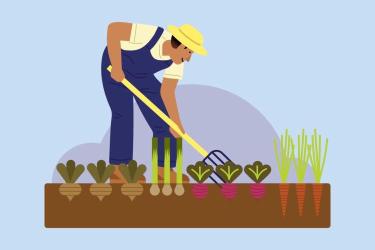 finspoLearn_illo_banner_benefitsOfOffset@3x_colored