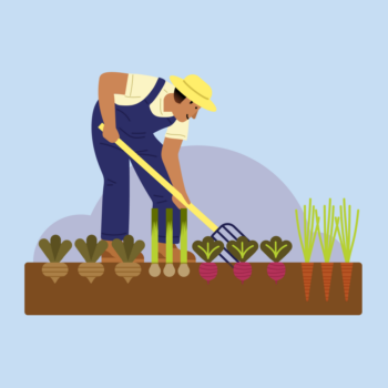 finspoLearn_illo_rectangle_benefitsOfOffset@3x_colored