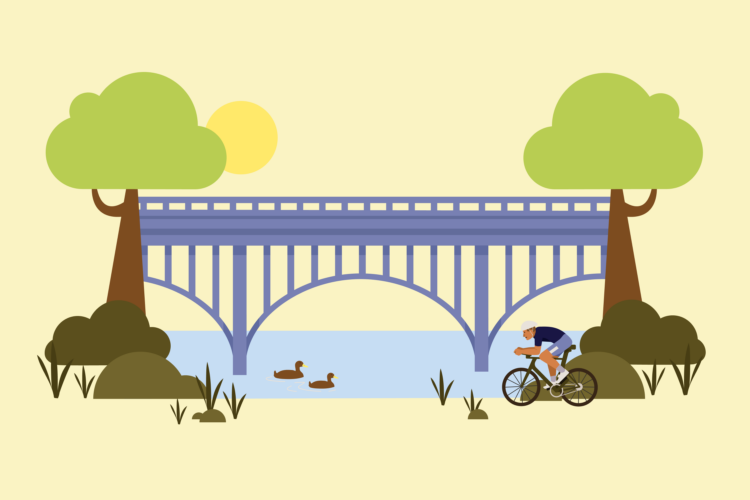 finspoLearn_illo_banner_bridgingLoans@3x_v2