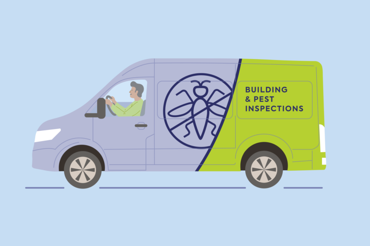 finspoLearn_illo_banner_buildingAndPest@3x_colored