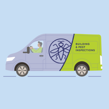 finspoLearn_illo_rectangle_buildingAndPest@3x_colored