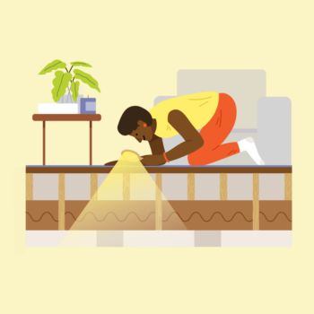 finspoLearn_illo_rectangle_whatToLookAtWhenInspectingAHouse @3x
