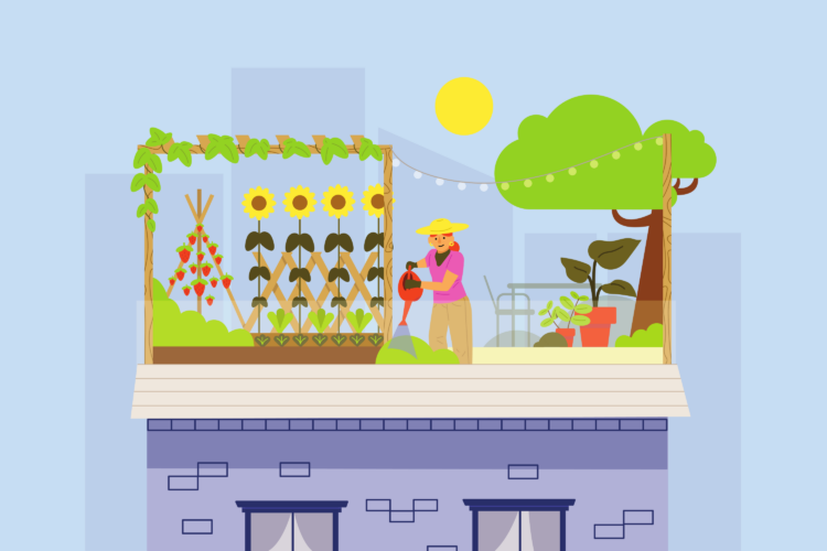 finspoLearn_illo_banner_rentalYield@3x